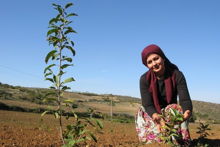 Bursa Yenişehir tarımına alternatif ürün arayışları başladı