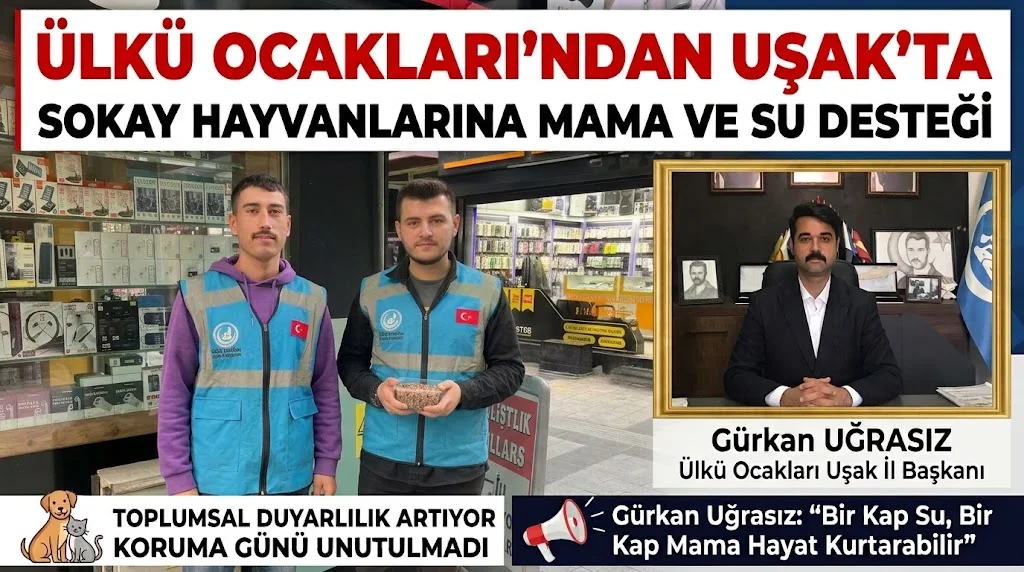 Ülkü Ocakları’ndan Uşak’ta Sokak Hayvanlarına Mama ve Su Desteği