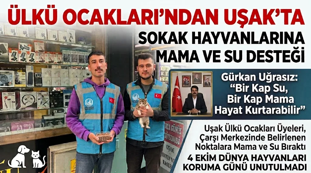 Ülkü Ocakları’ndan Uşak’ta Sokak Hayvanlarına Mama ve Su Desteği